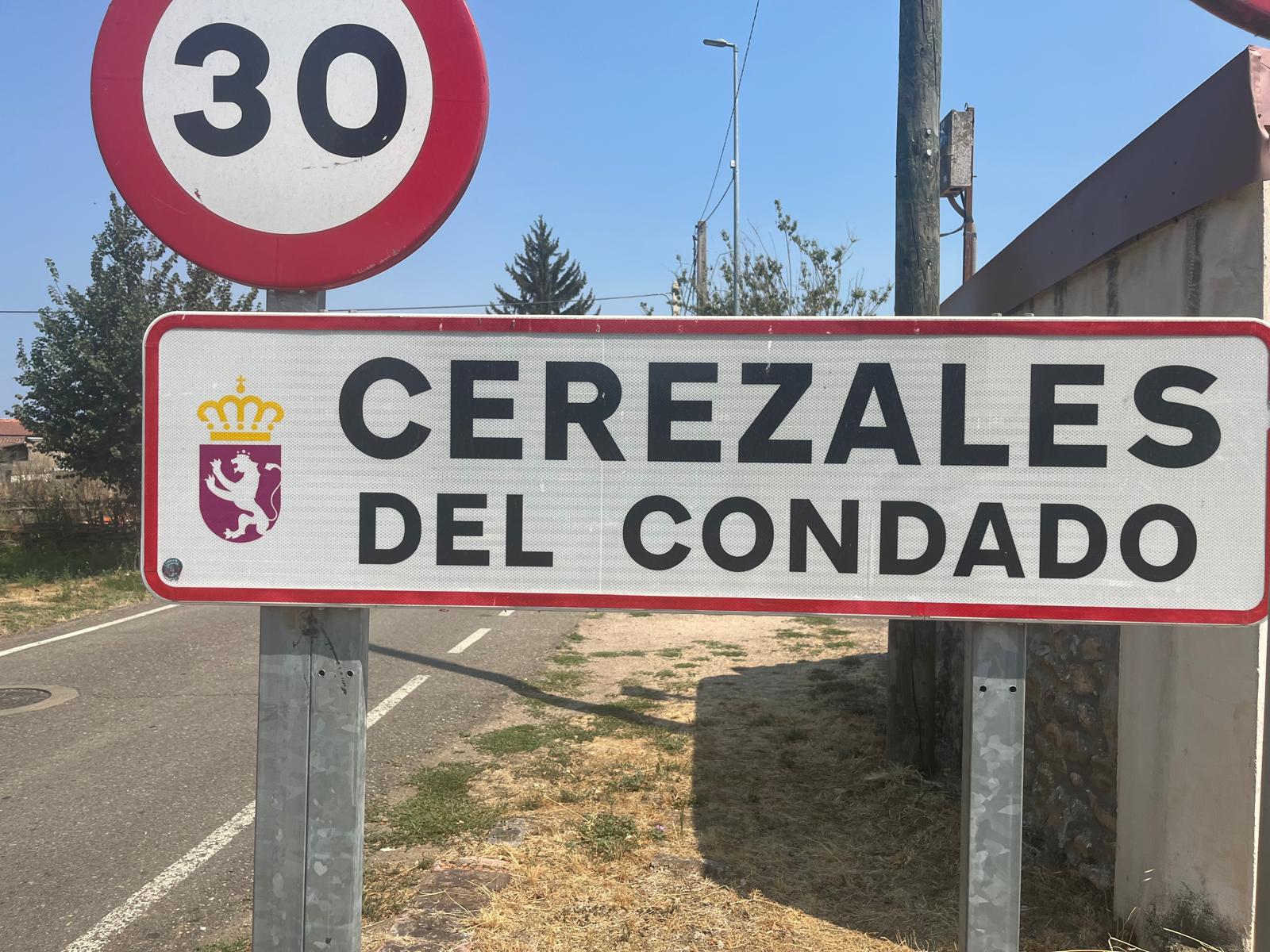 CARTEL CEREZALES